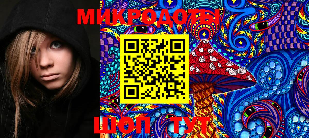 Аша  Галлюциногенные грибы Psilocybe  Вход с VPN 